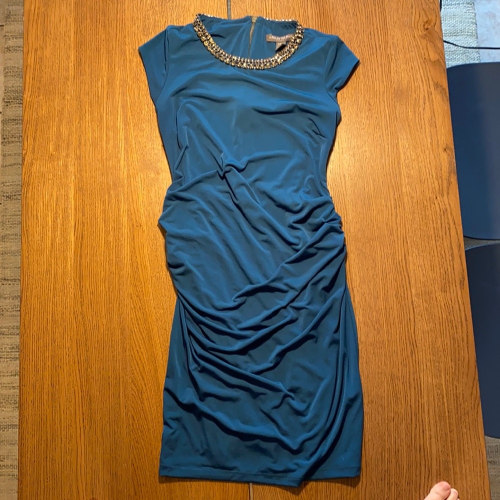 Pea in the pod maternity dress